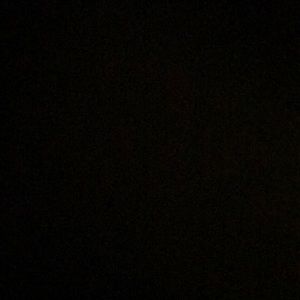 Meet your Posher, Carolina